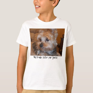 T-shirts trocará a irmã - todos os compradores