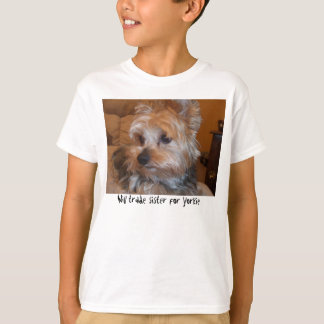 T-shirts trocará a irmã - todos os compradores