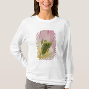 T-shirts Tulipa close-up, Jardins Keukenhof, Lisse,