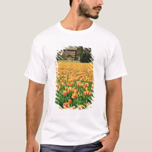 T-shirts Tulipas da primavera florescem em frente a velho c