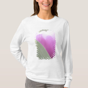 T-shirts Tulipas, Jardins Keukenhoff, Países Baixos. 2