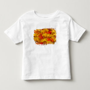 T-shirts Tulipas nos Jardins Keukenhof, Amsterdã, 2