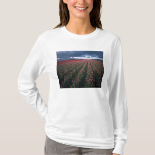 T-shirts Tulipas rosa brilhante e vermelho brilham sob o es