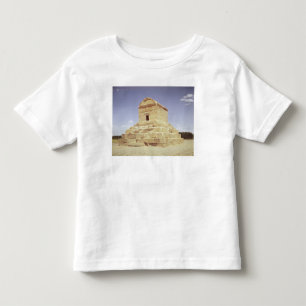 T-shirts Túmulo de Cyrus o excelente