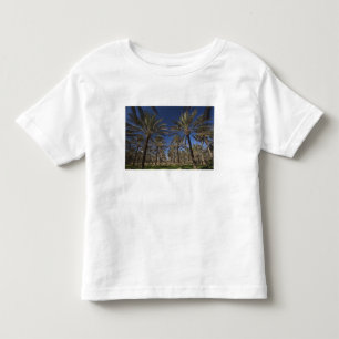T-shirts Tunísia, Deserto do Saara, Douz, Zona Turística, 2