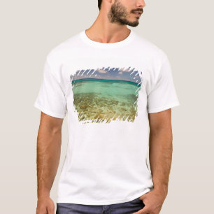 T-shirts Turcos e Caicos, Ilha Grand Turk, Cockburn 2