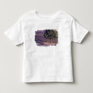 T-shirts UE, França, Provença, Campos de lavanda