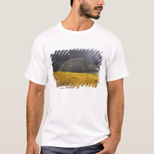 T-shirts Um arco-íris aparecendo através de uma névoa à tar