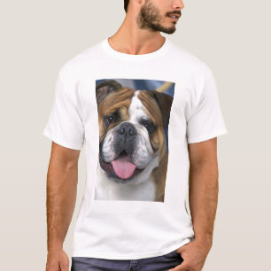 T-shirts Um bulldog inglês na Bélgica.