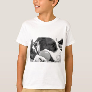 T-shirts um cachorro pitbull, bonito e bonito, branco com b