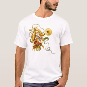 T-shirts Um Hydrozoan - uvaria de Salacella