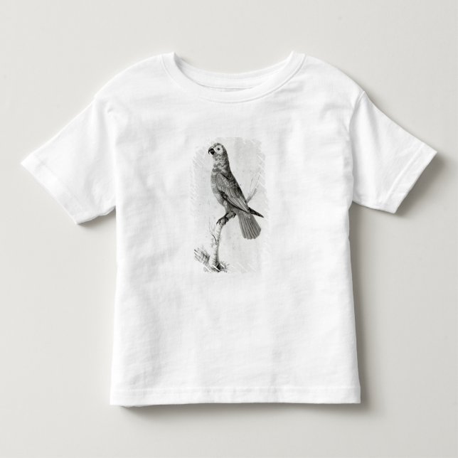 T-shirts Um papagaio, 1786 (Frente)