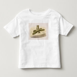 T-shirts Um passeio da noite, ilustração de 'no Fairyland