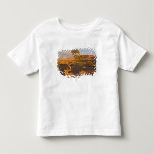 T-shirts Uma árvore de Juniperus osteosperma em