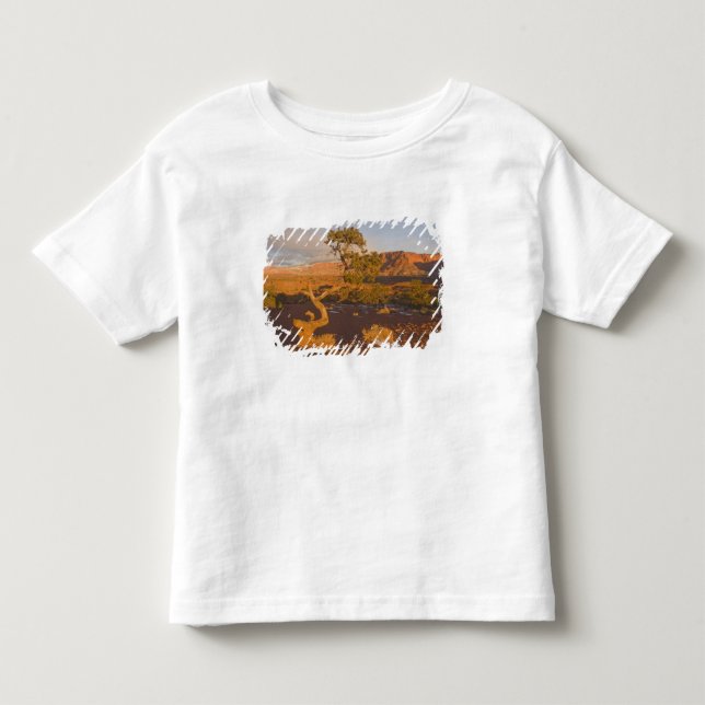 T-shirts Uma árvore de Juniperus osteosperma em (Frente)