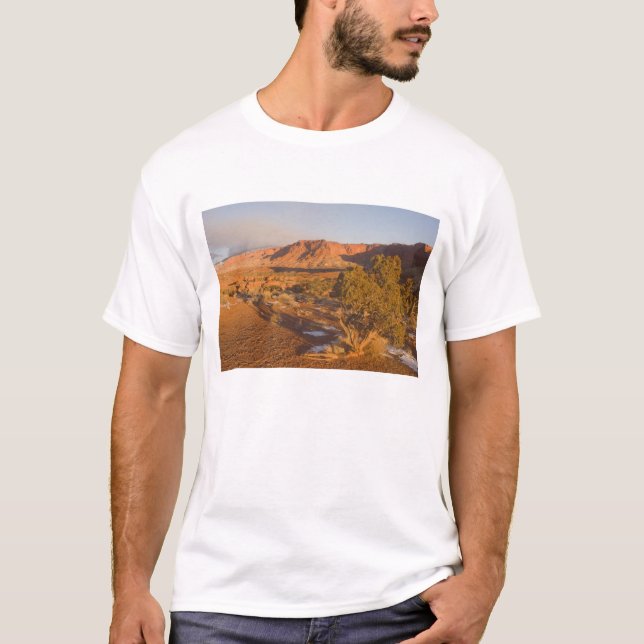 T-shirts Uma árvore de Juniperus osteosperma em 2 (Frente)