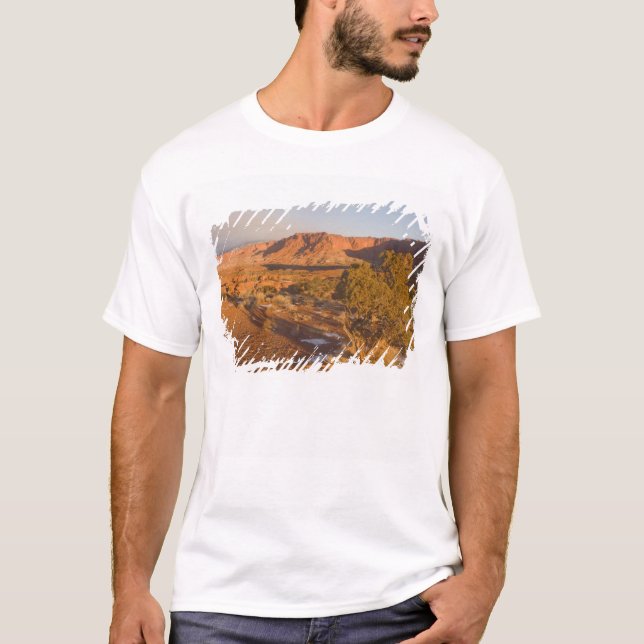 T-shirts Uma árvore de Juniperus osteosperma em 2 (Frente)