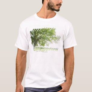 T-shirts Uma árvore no campo da grama
