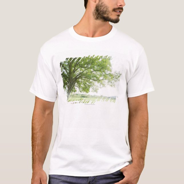 T-shirts Uma árvore no campo da grama (Frente)
