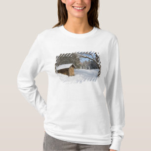 T-shirts Uma cena nevada no Little Lyford Pond da AMC