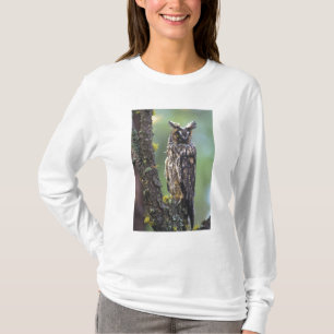T-shirts Uma coruja-de-orelha-longa empoleirada num ramo de