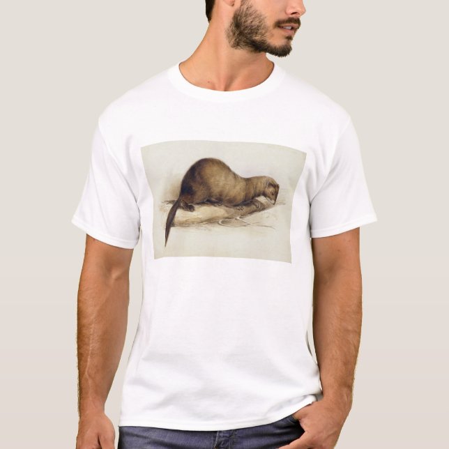 T-shirts Uma doninhas, 1832 (w/c, ove da caneta, da tinta, (Frente)