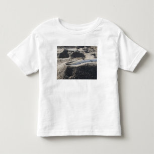 T-shirts Uma exposição estática de um escudo da ordenan