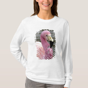 T-shirts Uma foto cativa de um Flamingo Andino