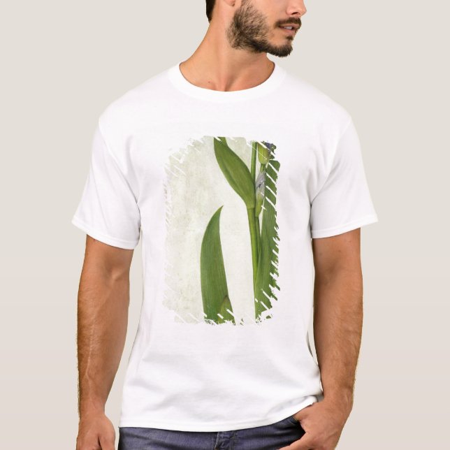 T-shirts Uma íris (Frente)