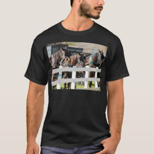 T-shirts Uma linha de cavalos de Amish