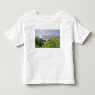 T-shirts Uma opinião Ailsa Craig e a ilha de Arran, 1860