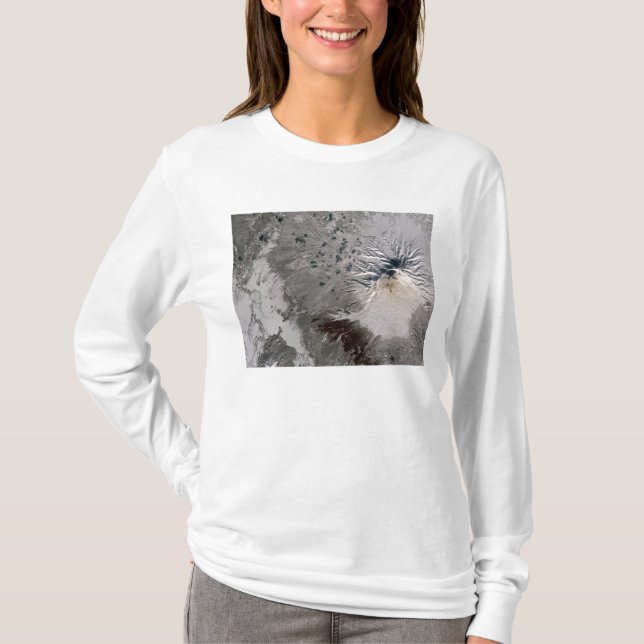 T-shirts Uma pluma rica em cinzas sobe (Frente)