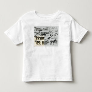 T-shirts Ungulata ou animais Hoofed