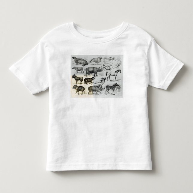 T-shirts Ungulata ou animais Hoofed (Frente)