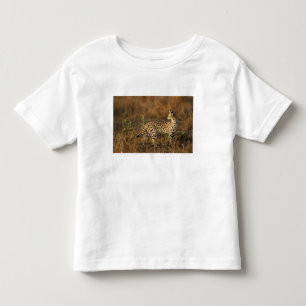 T-shirts Upper Mara, Reserva de Caça Masai Mara, Quênia,