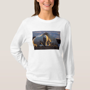 T-shirts Ursas polares com filhote ao lado, 1002 costeira