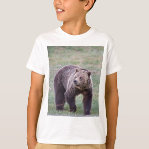 T-shirts Urso de urso