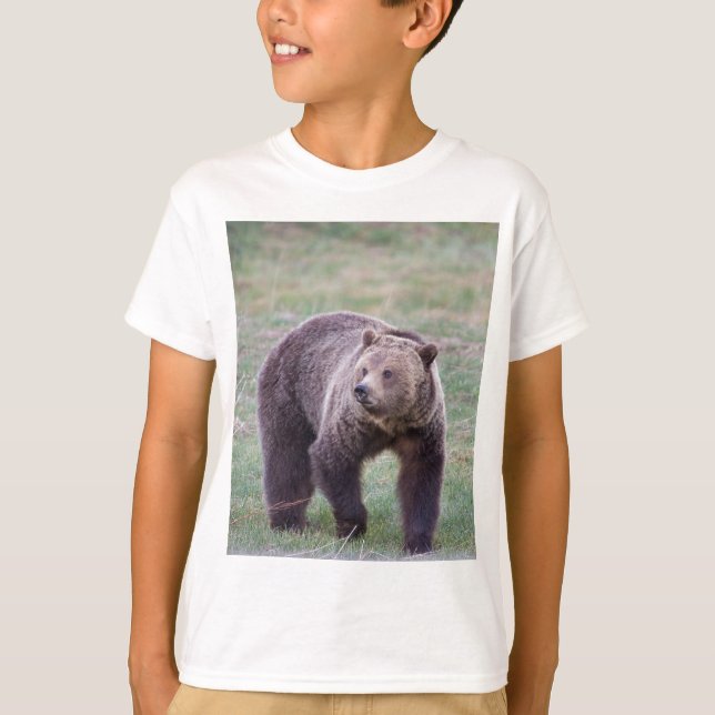 T-shirts Urso de urso (Frente)