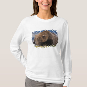T-shirts Urso marrom, urso pardo, tirando uma soneca, Katma