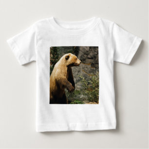 T-shirts Urso Ordenado