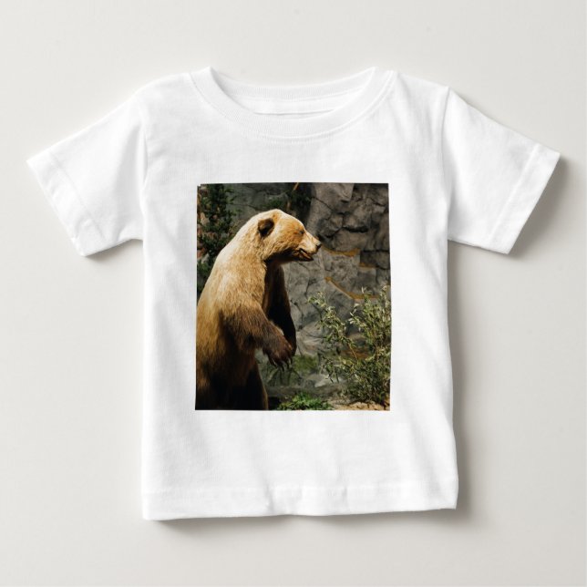 T-shirts Urso Ordenado (Frente)