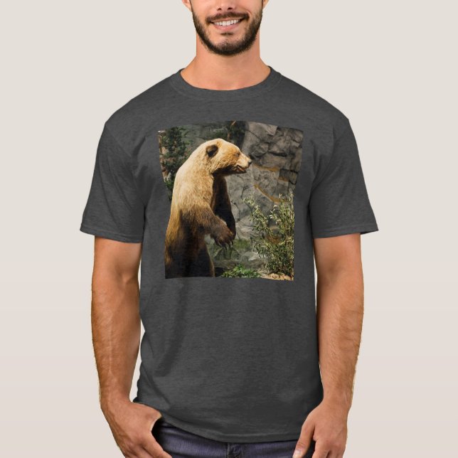 T-shirts Urso Ordenado (Frente)