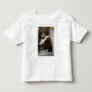 T-shirts Urso pardo, ou Urso Cinzento Costeiro, Ursus