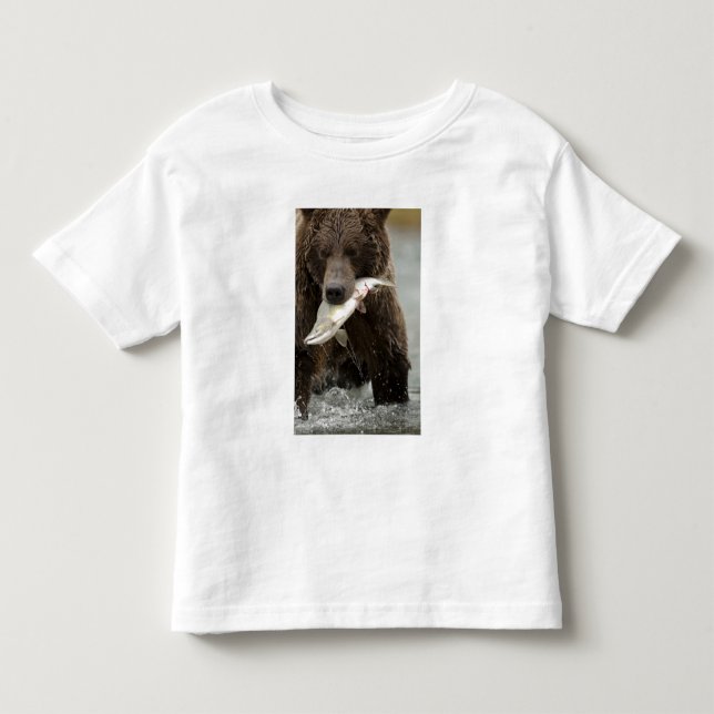 T-shirts Urso pardo, ou Urso Cinzento Costeiro, Ursus (Frente)