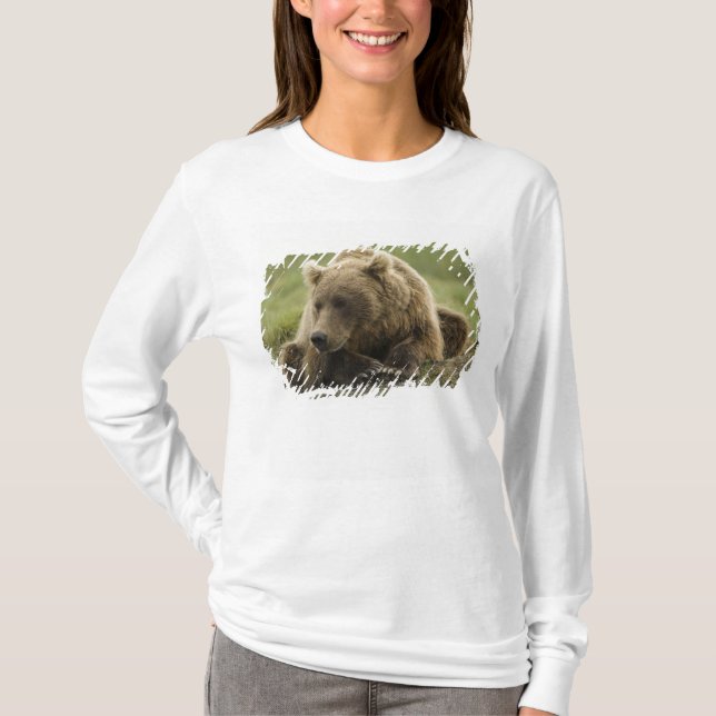 T-shirts Urso pardo, ou Urso Cinzento Costeiro, Ursus (Frente)