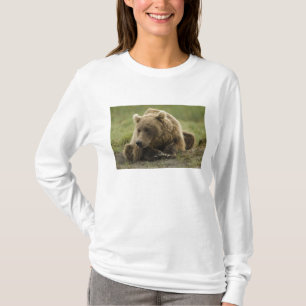 T-shirts Urso pardo, ou Urso Cinzento Costeiro, Ursus