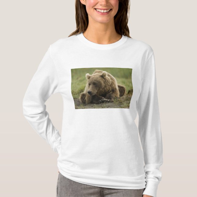 T-shirts Urso pardo, ou Urso Cinzento Costeiro, Ursus (Frente)