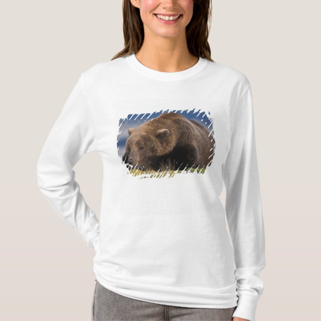 T-shirts Urso pardo, urso cinzento, dormindo, Katmai (Frente)
