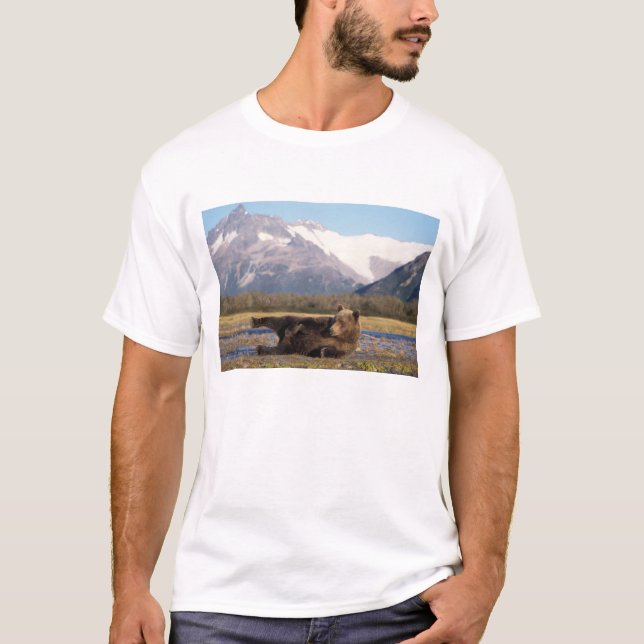 T-shirts Urso pardo, urso cinzento esticando-se de costas (Frente)