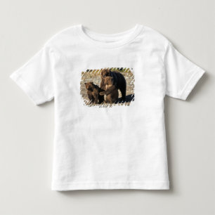 T-shirts Urso pardo, urso cinzento, porca com filhotes na c